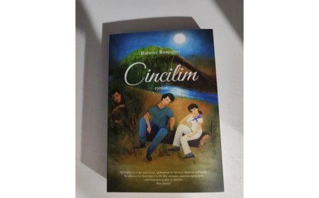 "Bütün tələbələrin söyüş söyməsi ağlabatan görünmür..."