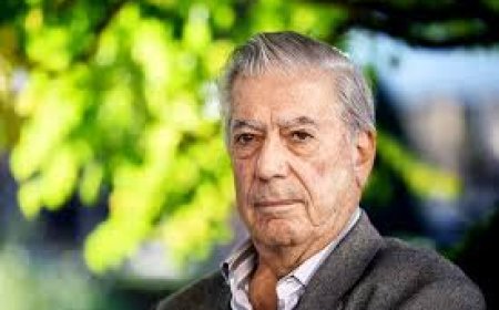 Ədəbiyyatsız dünya - Mario Varqas Lyosa