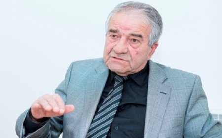 Alça çiçəyi – Seyran Səxavətin ABŞ-da çap edilən hekayəsi