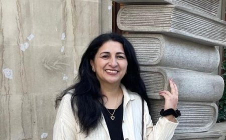 Dərdli pişik haqqında ballada - Hekayə