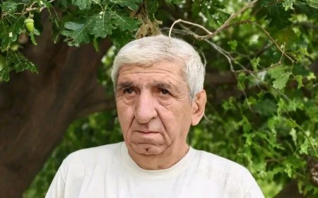 Ağaca çıxan qutab - Ələsgər Əlioğludan uşaq hekayələri