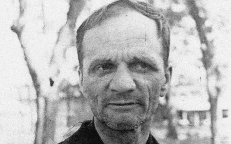 Ana - Andrey Platonovun hekayəsi