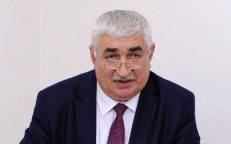 Qasım bəy Zakirin şair nəvələri - İslam Qəribli yazır..