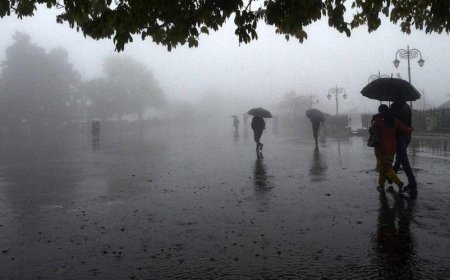 Baxardım yağışda çimən şəhərə - Günün şeiri