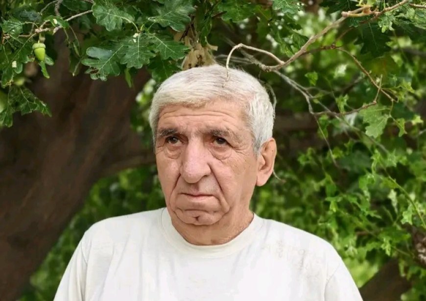 Ağaca çıxan qutab - Ələsgər Əlioğludan uşaq hekayələri