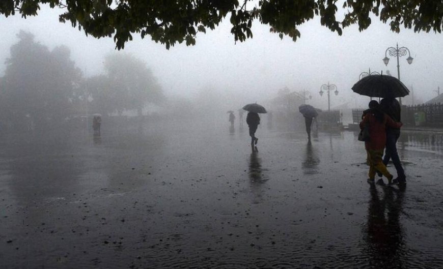 Baxardım yağışda çimən şəhərə - Günün şeiri