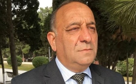 Hafiz Ataxanlı - Pəncərədə pişik