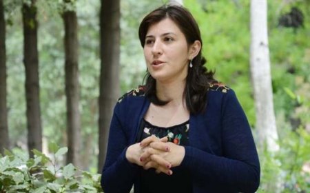 Yulanın macəraları - Uşaqlar üçün