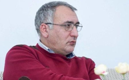 Arıların səssizliyi - Şərif Ağayarın hekayəsi