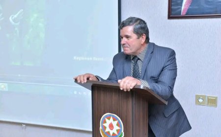 Taleyin gecikmiş oyunları var - Maarif Soltanın şeirləri