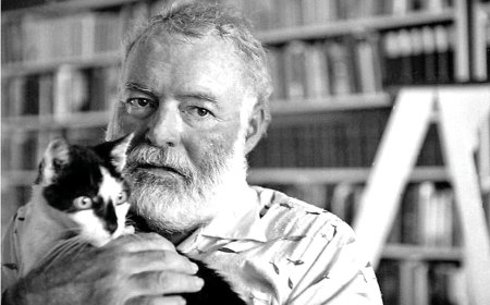 Yağış altında pişik - Ernest Heminquey