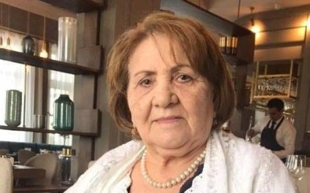 Soluruq hәsrәtin yağışlarında - Şövkət Zərin Horovlunun şeirləri