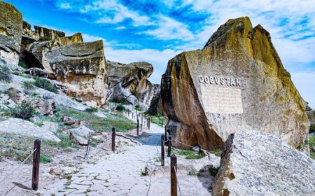 Qobustanda yeni qayaüstü təsvirlər aşkarlandı