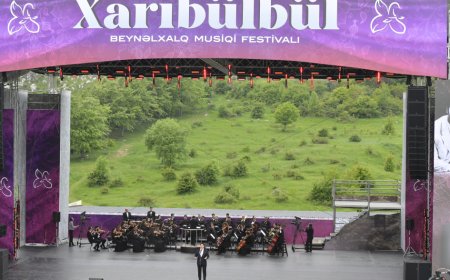 Şuşada növbəti Xarıbülbül Festivalı keçiriləcək