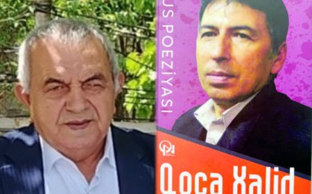 Söhbət tərcümədən gedir - Yəhya Abbasov yazır..