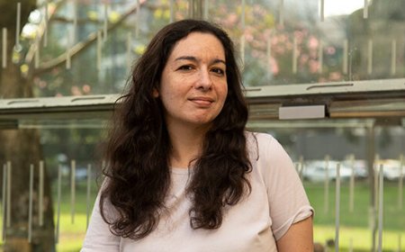 Toyuq ürəyi: Müasir Meksika hekayəsi