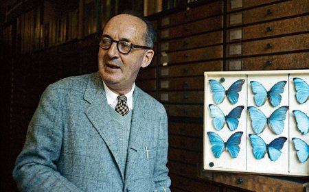 Çorbun qayıtması - Nabokovun məşhur hekayəsi