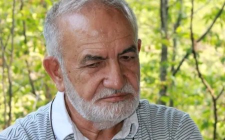 Bəxtsiz arzuların zoğalı rəngi - HEKAYƏ