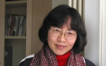 Dağlarda koma - Çağdaş Çin nəsri