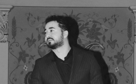 Elçin Məhərrəm: Qağayılar üçün..