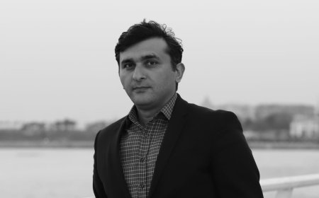 Telman üçün şapalaq - Hekayə