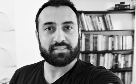 Ümid arısı - İkinci Mahmudun hekayəsi