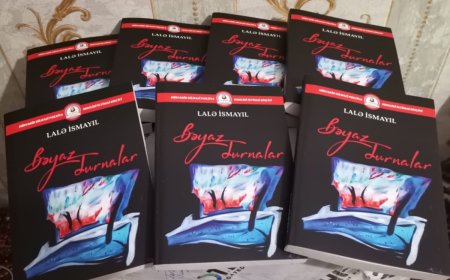 "Bəyaz durnalar" kitabı nəşr olunub