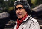 Vaqif Bayatlı Odərin sadə olmayan bir şeiri haqqında - Tamam Bayatlı