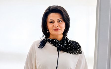 Sonun başlanğıcı - Pərvanə Bayramqızının hekayəsi