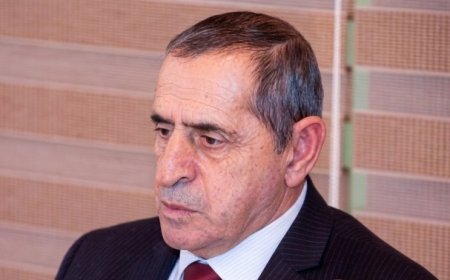 Fikrət Qoca şeirlərinin bəzi məqamları - Vaqif   Aslan yazır